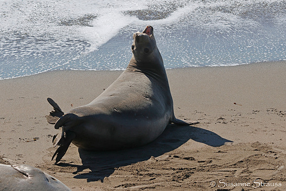 Giving Birth